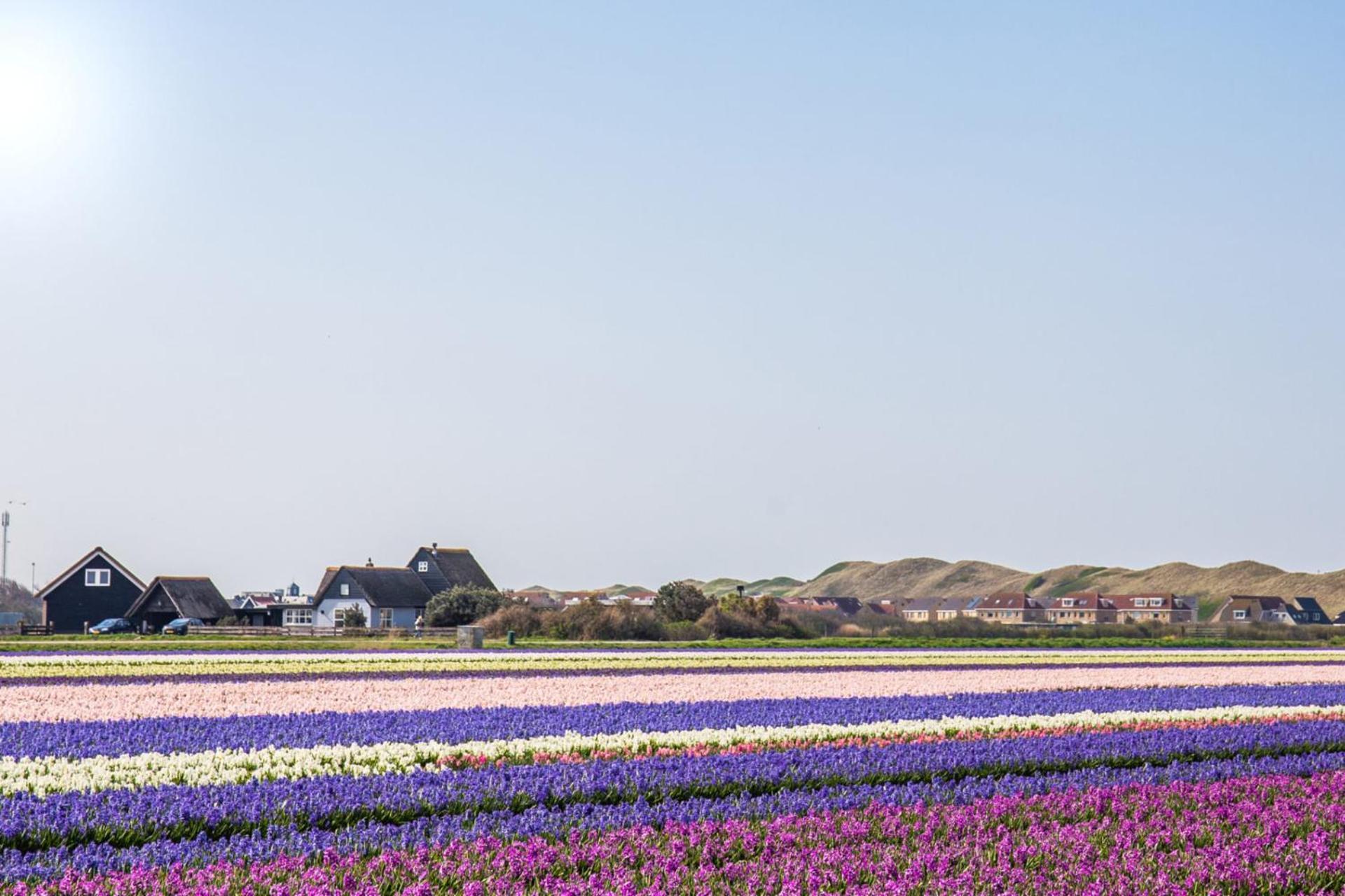 Beach Appartement 14 - Aan De Duinen, Callantsoog Aan Zee ภายนอก รูปภาพ