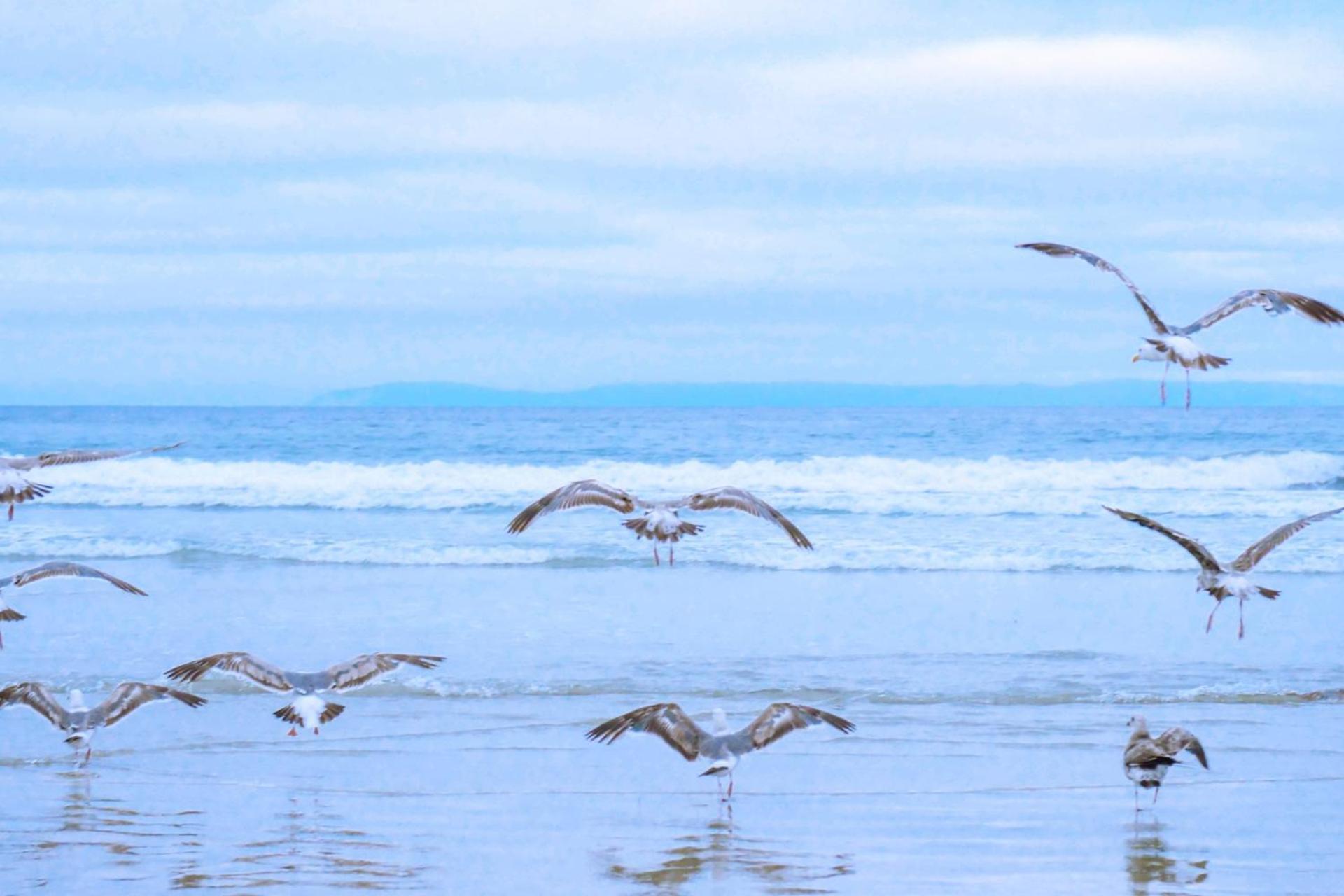Beach Appartement 14 - Aan De Duinen, Callantsoog Aan Zee ภายนอก รูปภาพ